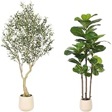 Realead 6ft Artificial Olive Tree with Tall Exquisite Planter + 5ft Faux Fiddle Leaf Fig Tree with White Planter