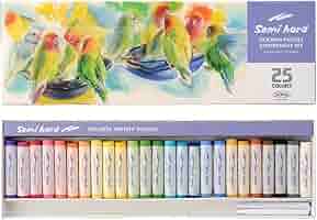(未使用･未開封品)　ホルベイン セミハードパステル 25色セット 310102 ar3p5n1 Amazon | ホルベイン セミハードパステル 25色セット 310102