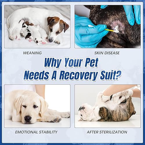 Miniatura 105 de Kuoser Traje de recuperación para perros después de la cirugía, traje de cirugía para perros hembra, esterilización masculina, mameluco para perros