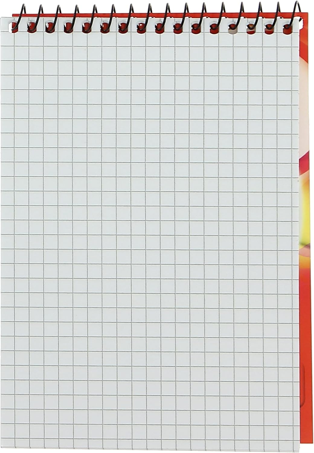 Landre 100050192 Lined Spiral Notebook A6 40 Sheets 70 g/m² Fine Wood- Paper Pack of 10 Spiral Notepad, A6, 40 Pages, Chequered 0