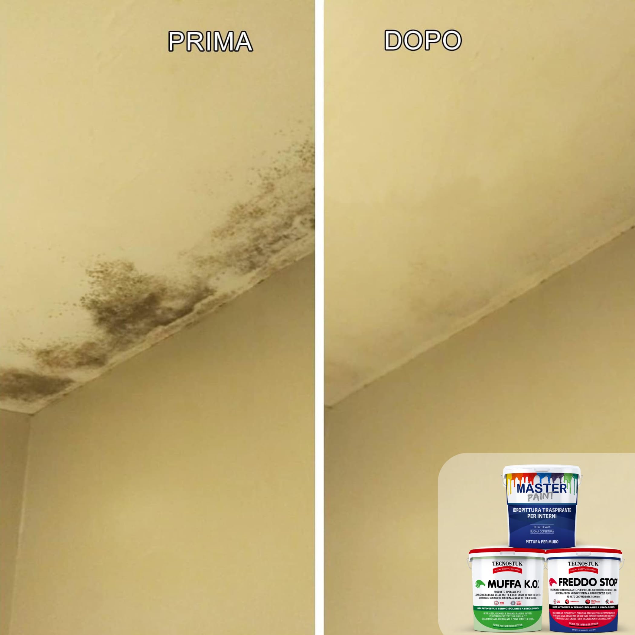 MASTERBRICO Kit Antimuffa per Muri interni con Pittura Bianca - Kit Muffa ko Freddo, Stop Master Paint, Pittura Antimuffa per interni (TANTA MUFFA)