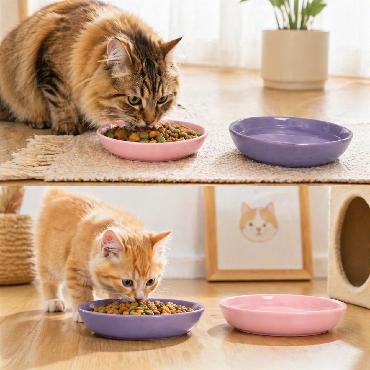 Set di 2 Ciotole per Gatti in Ceramica per Cibo o Acqua, Ciotola Gatto Piatta per Alleviare l’Affaticamento dei Baffi, Adatte anche a Gattini, Cani di Piccola Taglia e Altri Animali Domestici, 15×3 cm