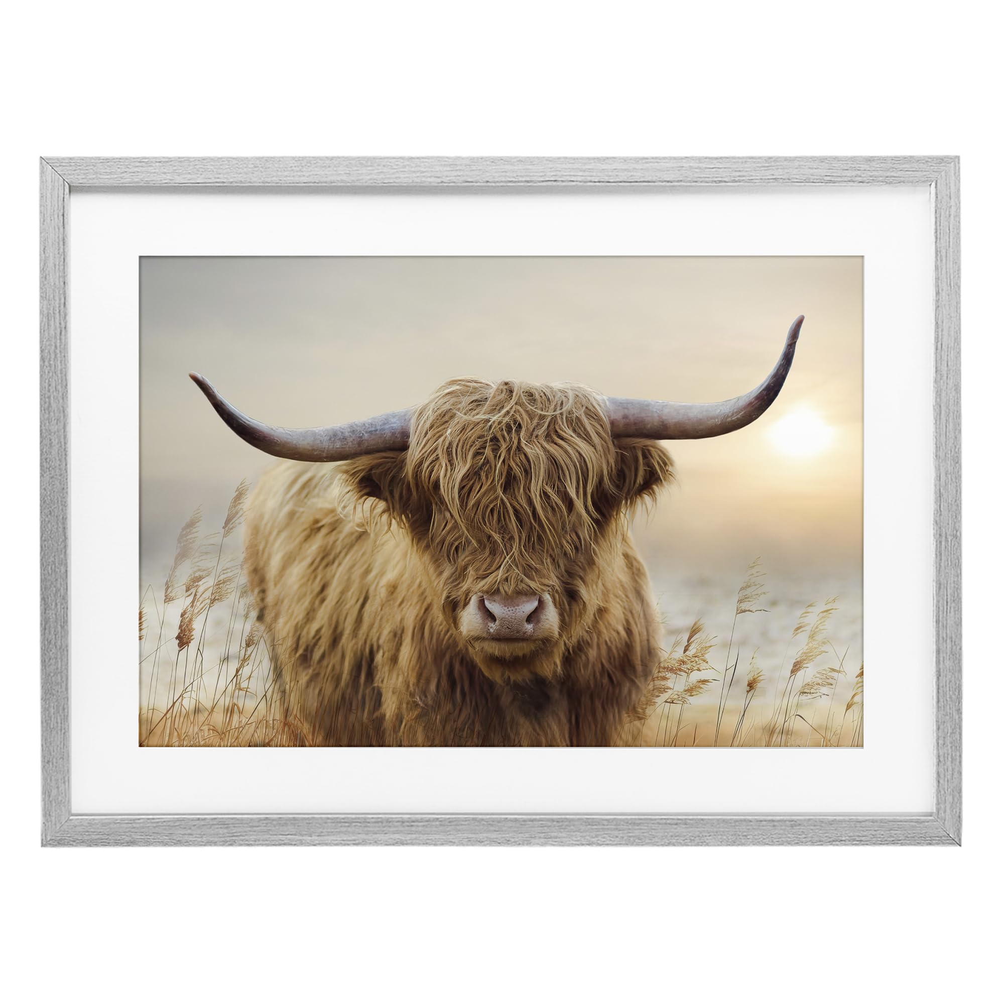Stupell Industries Farmhouse Gray (Textured) Highland Cow Sunset Pastoral, 14 X 20 Inch Framed Print Under Glass