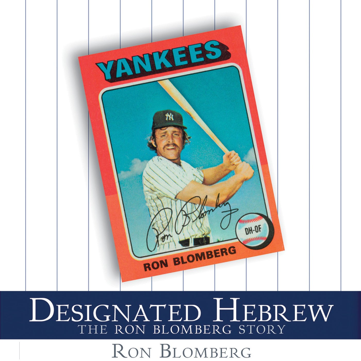 Cover art for Designated Hebrew