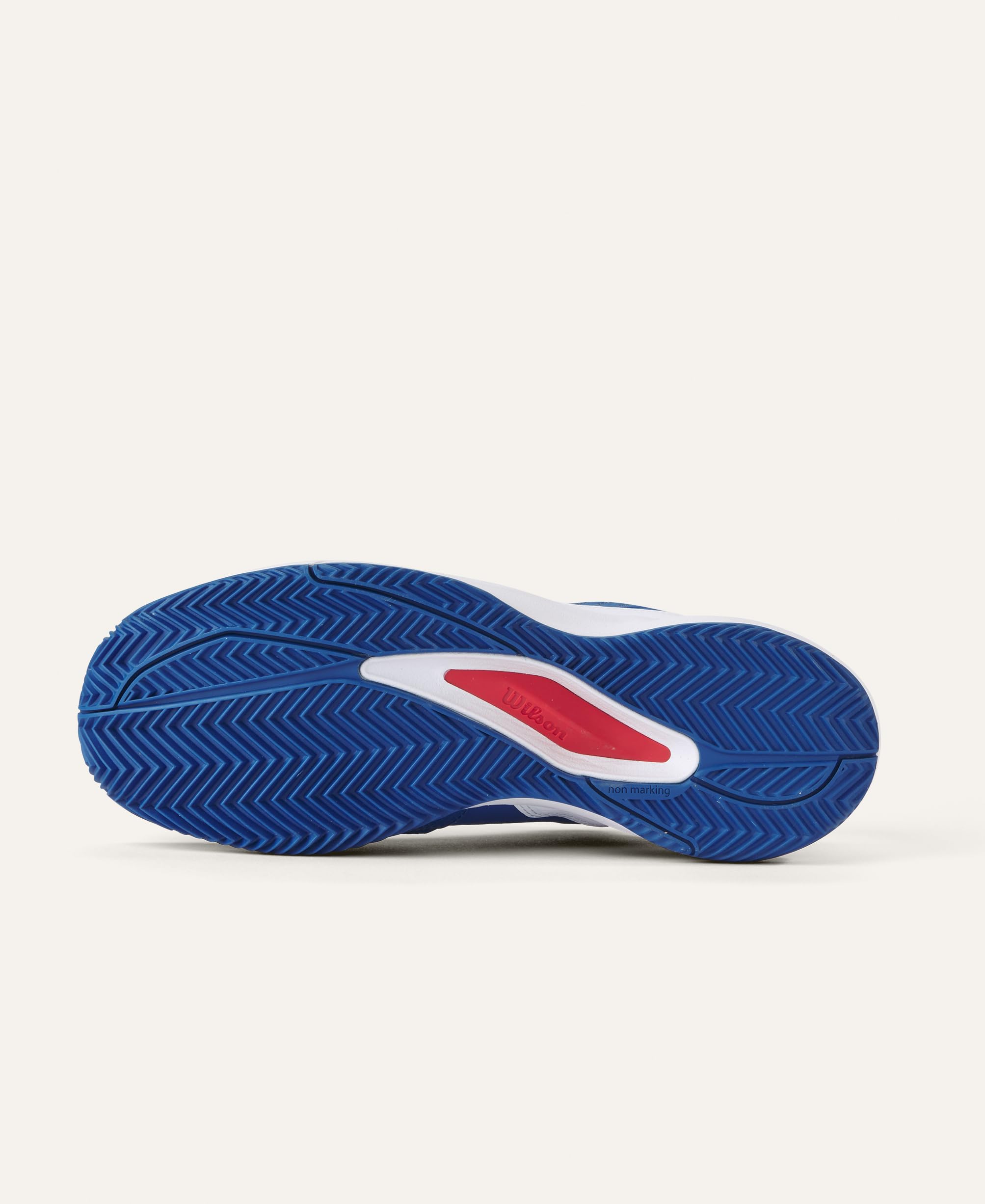 Wilson Rush Pro Ace Clay Zapatillas de tenisHombre