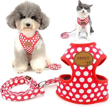 Zunea No Pull Dog Harnesses for Small Dogs Adjustable Mesh Lined Puppy Vest Harness and Leash Set Cute Polka Dot Escape Proof Pet Girl Boy Dog Cat Harnesses Lead for Walking Red S