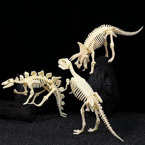 Miniatura 6 de Figura para armar Nuolux, 3 piezas 4D fósil de esqueleto de dinosaurio para niños