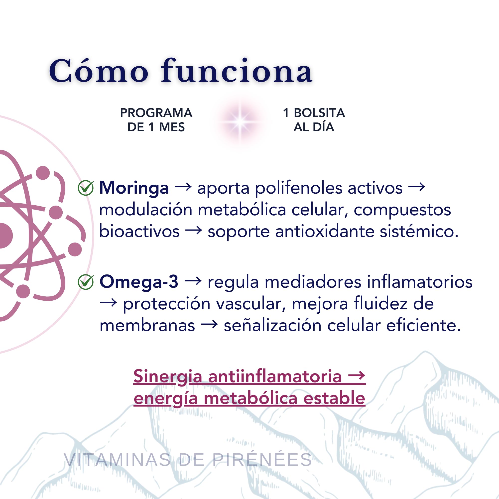 Omega 3 TG, Moringa Oleifera - SmartAbsorb™ | para la función cerebral, el sistema nervioso y la inmunidad | 56 sobres diarios