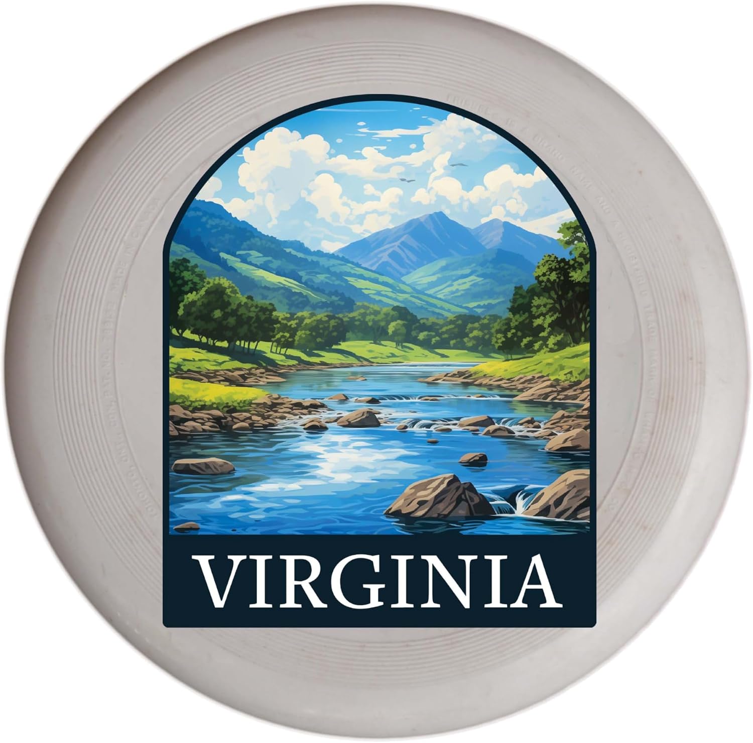 Virginia Beach Virginia Design B Souvenir Flying Disc 4-Pack