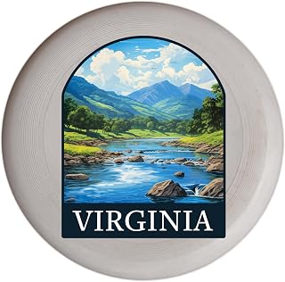 Virginia Beach Virginia Design B Souvenir Flying Disc Single