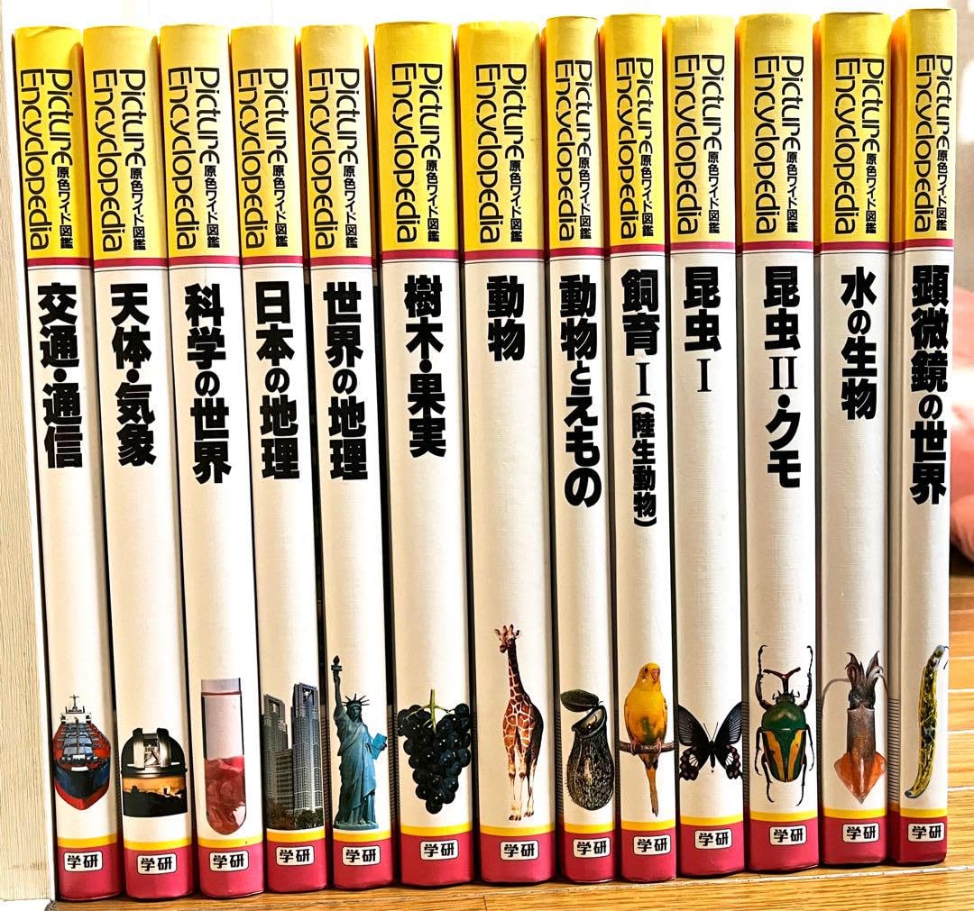 Amazon.co.jp: 原色ワイド図鑑 学研 まとめ売り セット売り 図鑑 