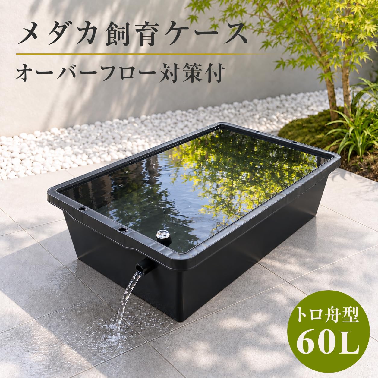 Amazon | 五色アクア メダカ飼育ケース 60リットル 黒 トロ舟