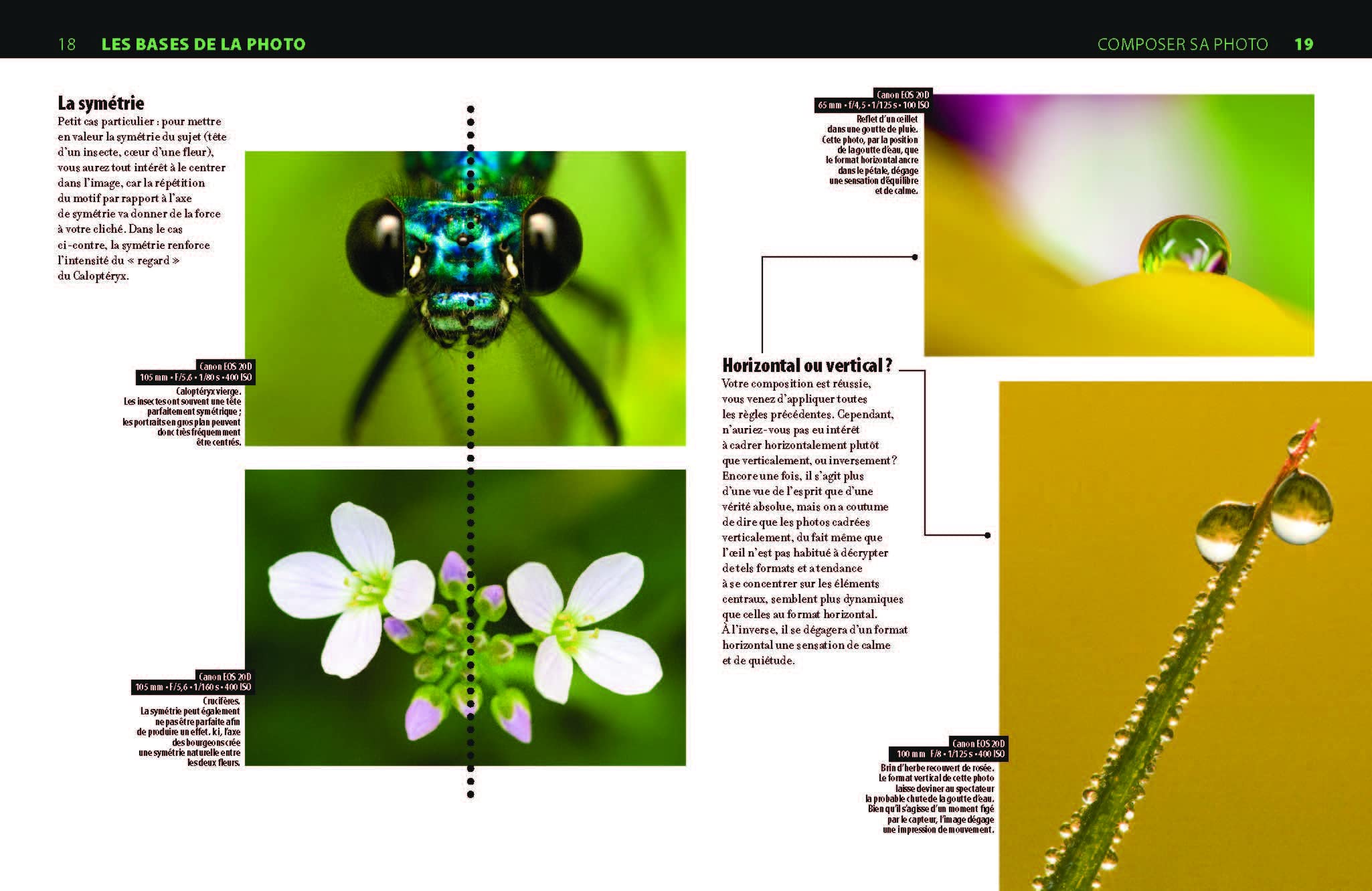 La Macrophotographie numérique: Photographier l'univers du minuscule