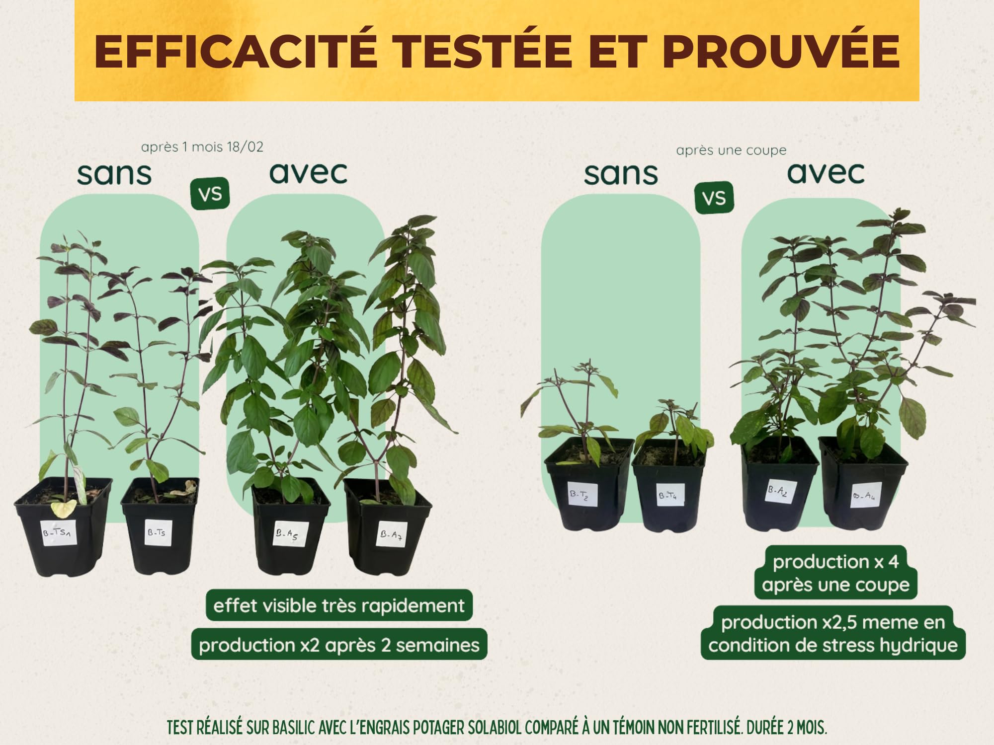 SOLABIOL Engrais Potager - 5Kg - Jusqu'à 100m² - Nutrition Longue Durée - Efficace Pour Tous Les Légumes - Bonifie Le Sol - Utilisable En Agriculture Biologique SOPOTY5B