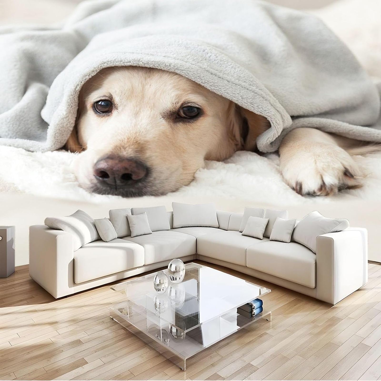 Pdghsdkgjh 3D Mural Photo Mural - Wallpaper 3D Labrador Retriever Non-Woven Mural, Patterned Wallpaper, Modern Wall Mural, Living Room, Bedroom, Children's Room, Office, Hallway Wall Decoration, 400Cm X 280Cm Poster