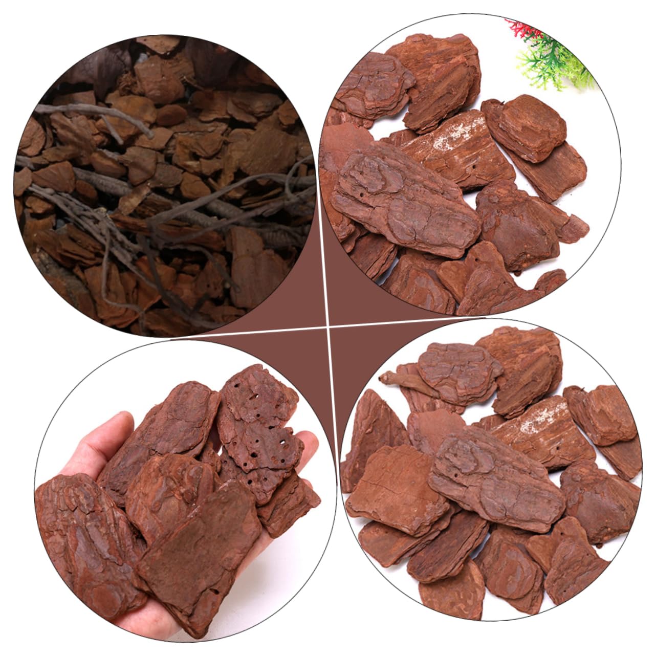 Materiale Decorativo Per Rettili Corteccia Di Pino Lucidata, Paesaggistica Naturale Per Scatola Di Allevamento, Confezione Da 500 g Per Terrari Di Rettili e Animali Esotici
