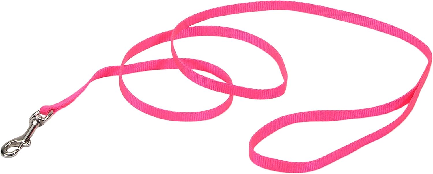 Coastal Pet Single-Ply Nylon Dog Leash with Bolt Snap, 3/8" x 4-Feet, Red (1-Count)
