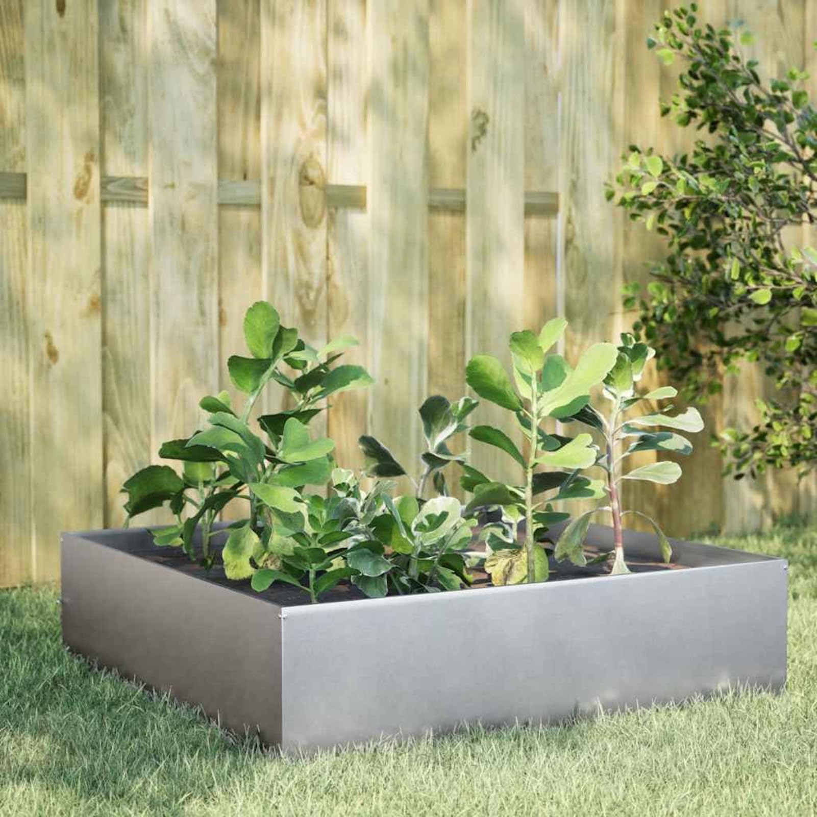 Gecheer Fioriera Rialzata, per orto e Giardino 100x100x25 cm in Acciaio zincato, con Fondo Aperto e Struttura Stabile for Principianti e Appassionati di Giardinaggio