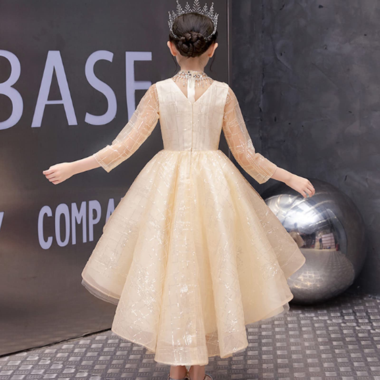 Amazon.com: SHUORUI Princess Dress Flower Girl Dresses Princess Tulle Tutu  Lace Long Sleeves V-Neck Rhinestone Embroidery,Champagne,120cm : Clothing,  Shoes & Jewelry
