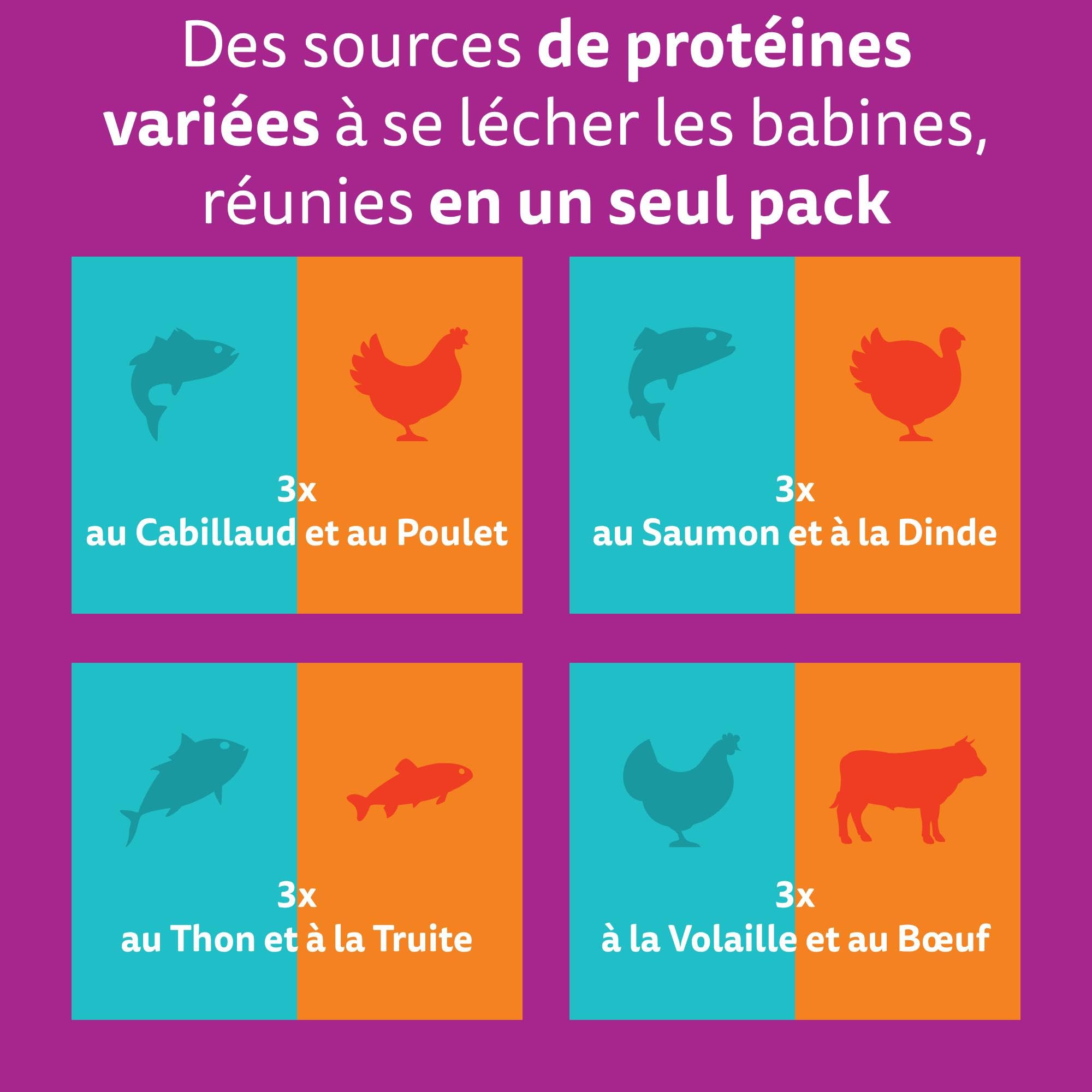 WHISKAS DUO Aliment humide en gelée pour chat adulte 12x85g Terre & Mer (Lot de 4) 48 Sachets