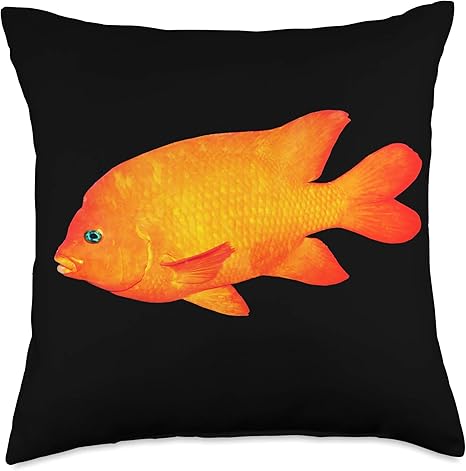 Amazon Com Orange Damselfish Garibaldi Fish Gift Garibaldi Shirt State Fish Of California Throw Pillow 18x18 Multicolor Home Kitchen