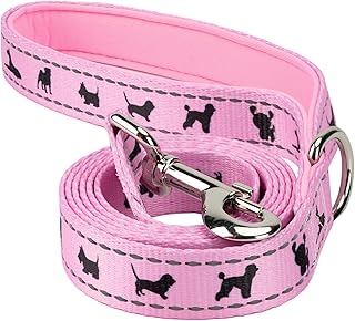 EcoBark Dog Leash - 4 FT / 5 FT / 6 FT Reflective Dog Leash- Eco-Bright Dog Leashes with Padded Handle - Strong Heavy Duty Dog Leash - Nylon Dog Leash for Medium and Large Dogs (Baby Pink Dog Leash)