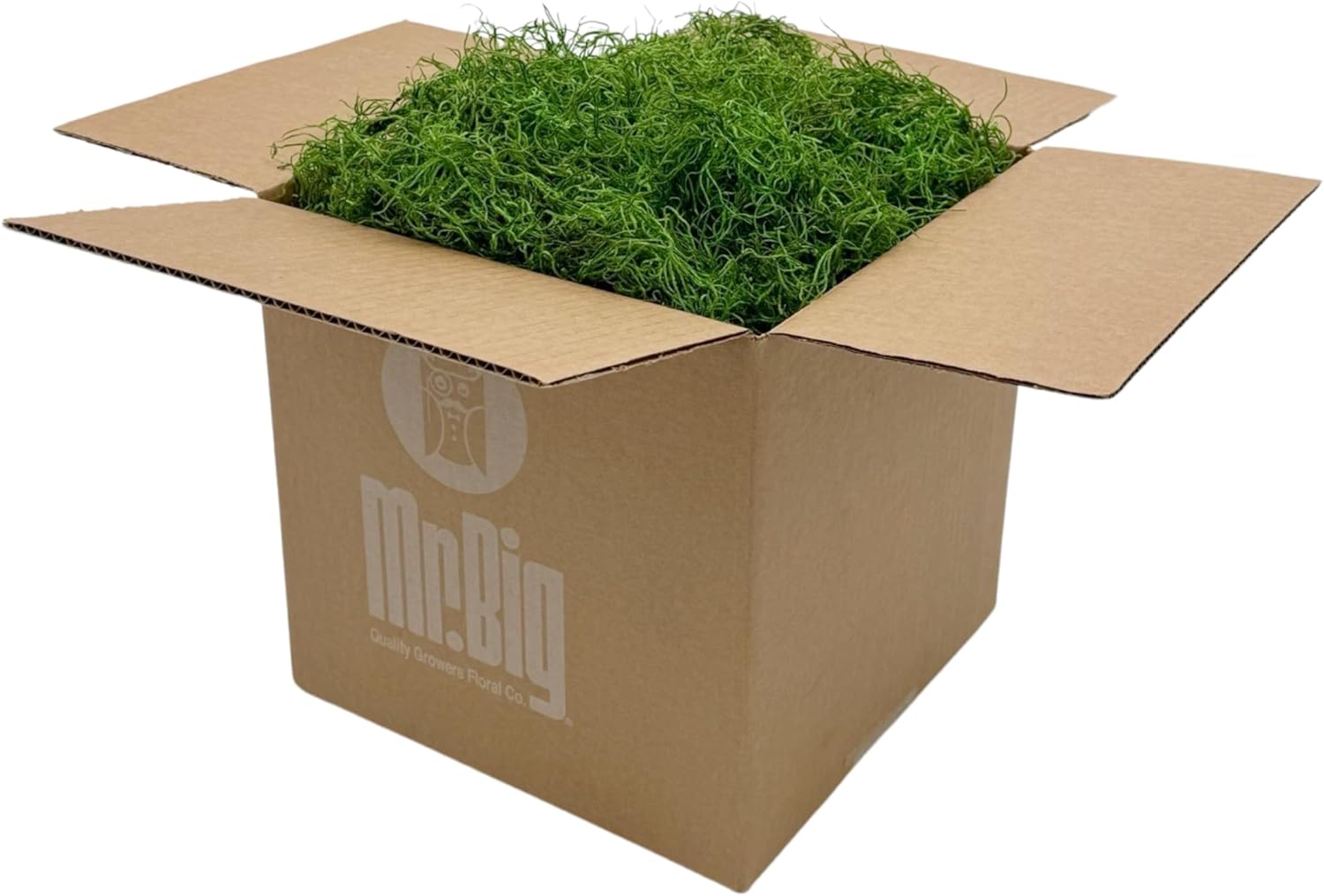 Preserved Spanish Moss - Decorative Moss - Dried Moss for Crafts, Home Decor, Art, Design & DIY Projects - for Indoor Use - Green Apple - Standard Box - Covers 10-12 sq. ft.