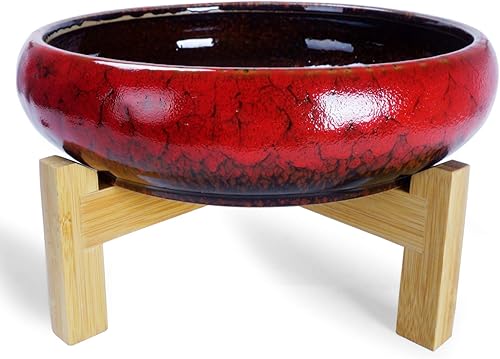 Miniatura 9 de Macetas para suculentas, macetas grandes de 10 pulgadas con drenaje, maceta de mármol de cerámica para bonsái con soporte, maceta poco profunda para