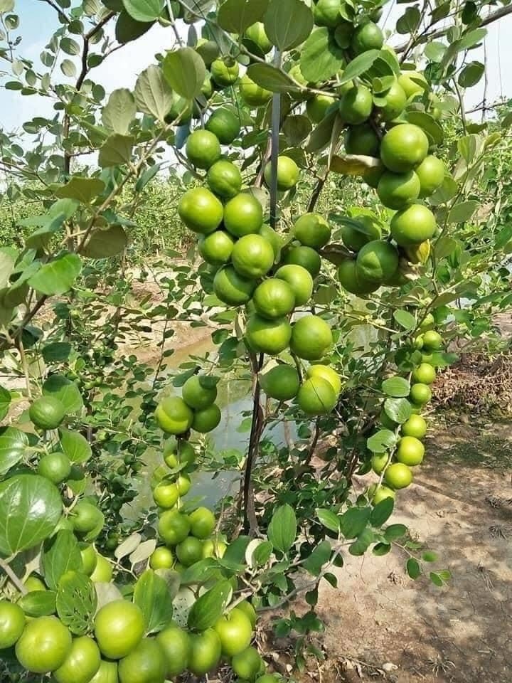 Chiroyli porno modellarning porno fotosuratlari Eng yosh porno yulduz kim?