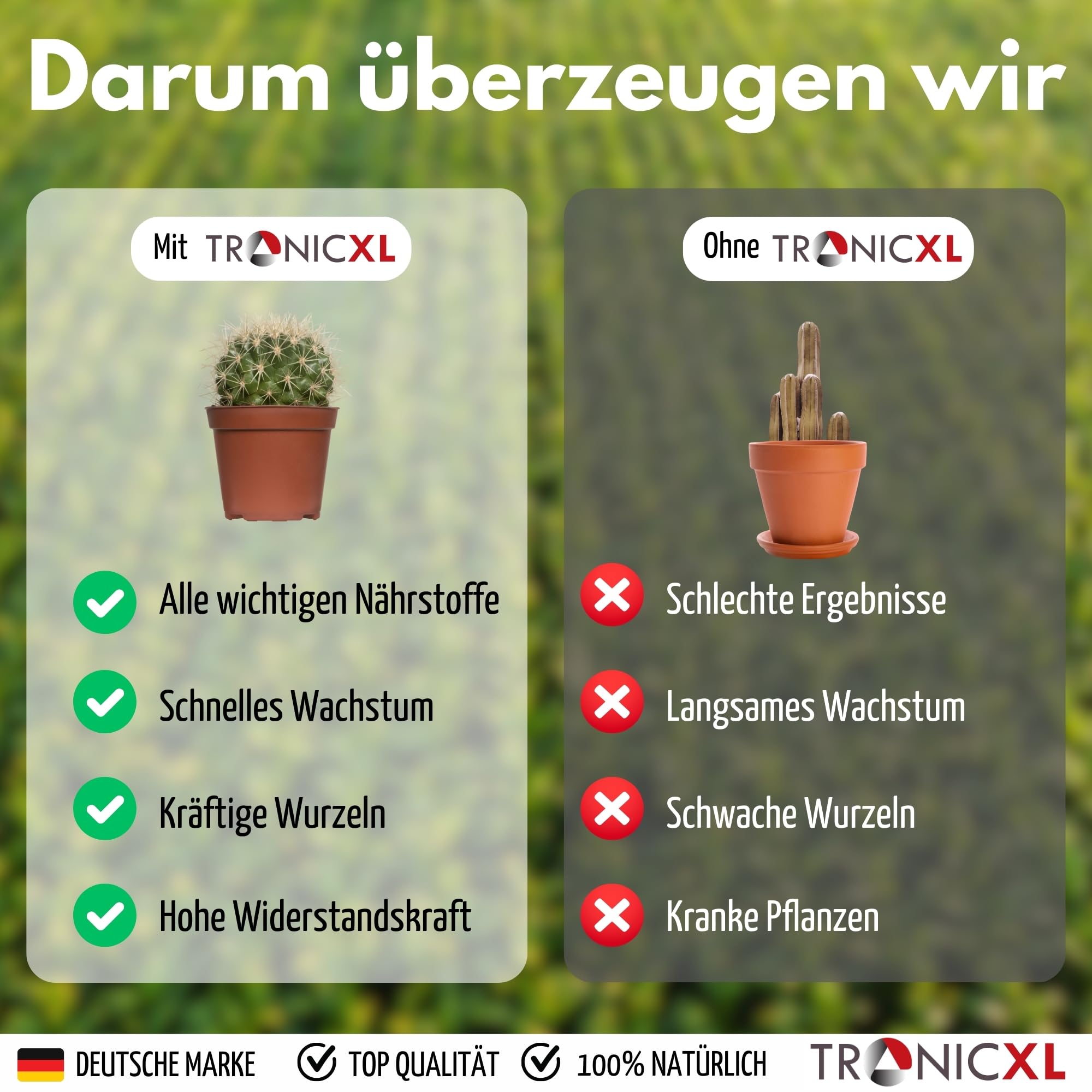 TronicXL Abono concentrado para cactus, 2 litros, fabricado en Alemania, abono universal para cactus, suculentas, 2000 ml, 2 litros, cactus