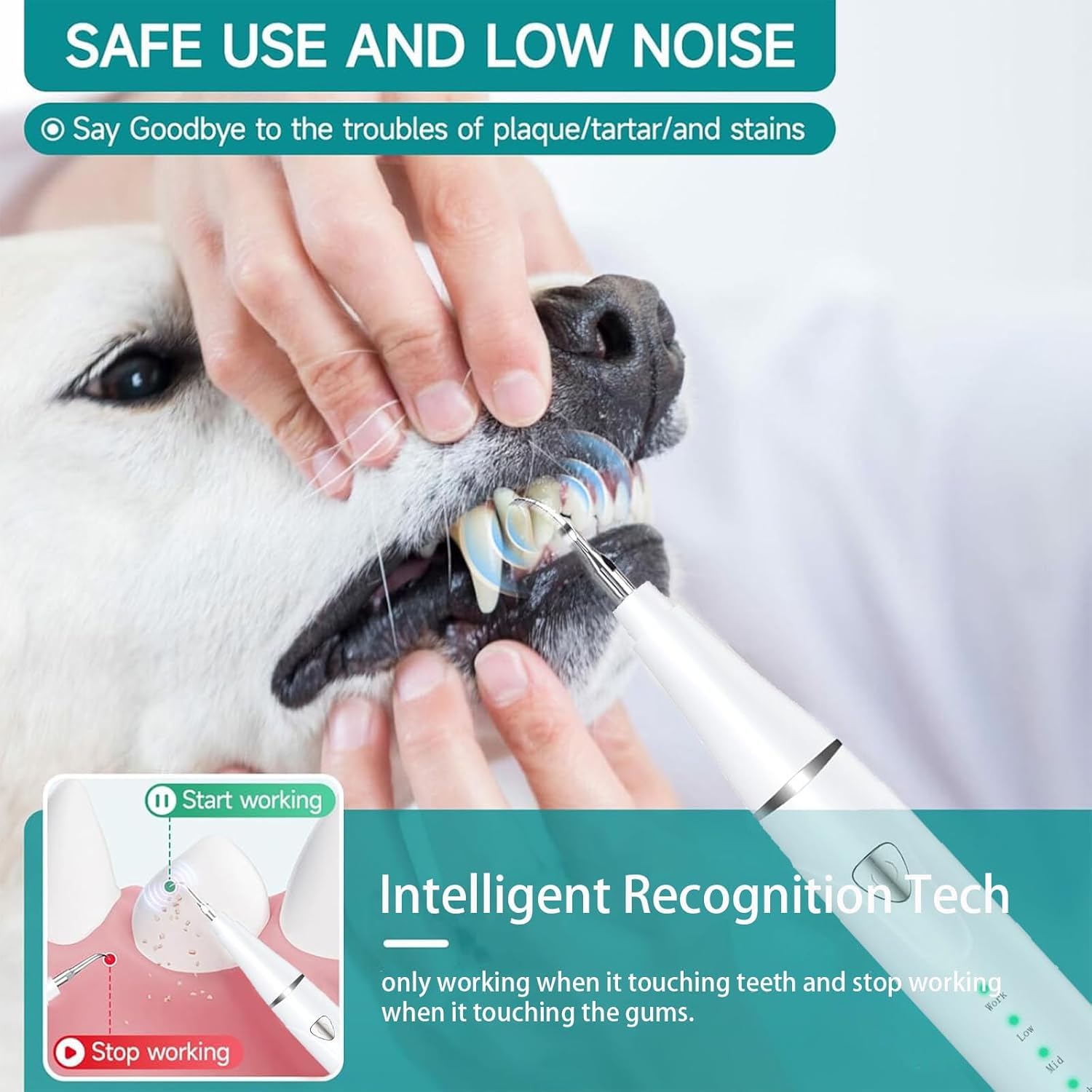 KT Dog Teeth Cleaning Kit for Small & Large Dogs – Complete Pet Dental Care Set with Enzymatic Toothpaste, Dual-Head & Finger Toothbrush – Plaque & Tartar Remover, Fresh Breath Oral Hygiene Solution - image 2
