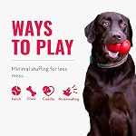 Kong Wild Knots Squeaker Bears for Dogs, Medium/Large, Colors Vary