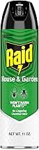 Raid House and Garden Insect Killer, Kills Ants, Roaches, Spiders and Flies on Contact, 11oz