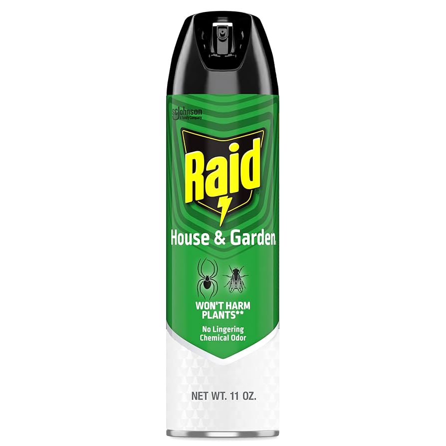 My House Smells Like Raid: Quick Fix Solutions