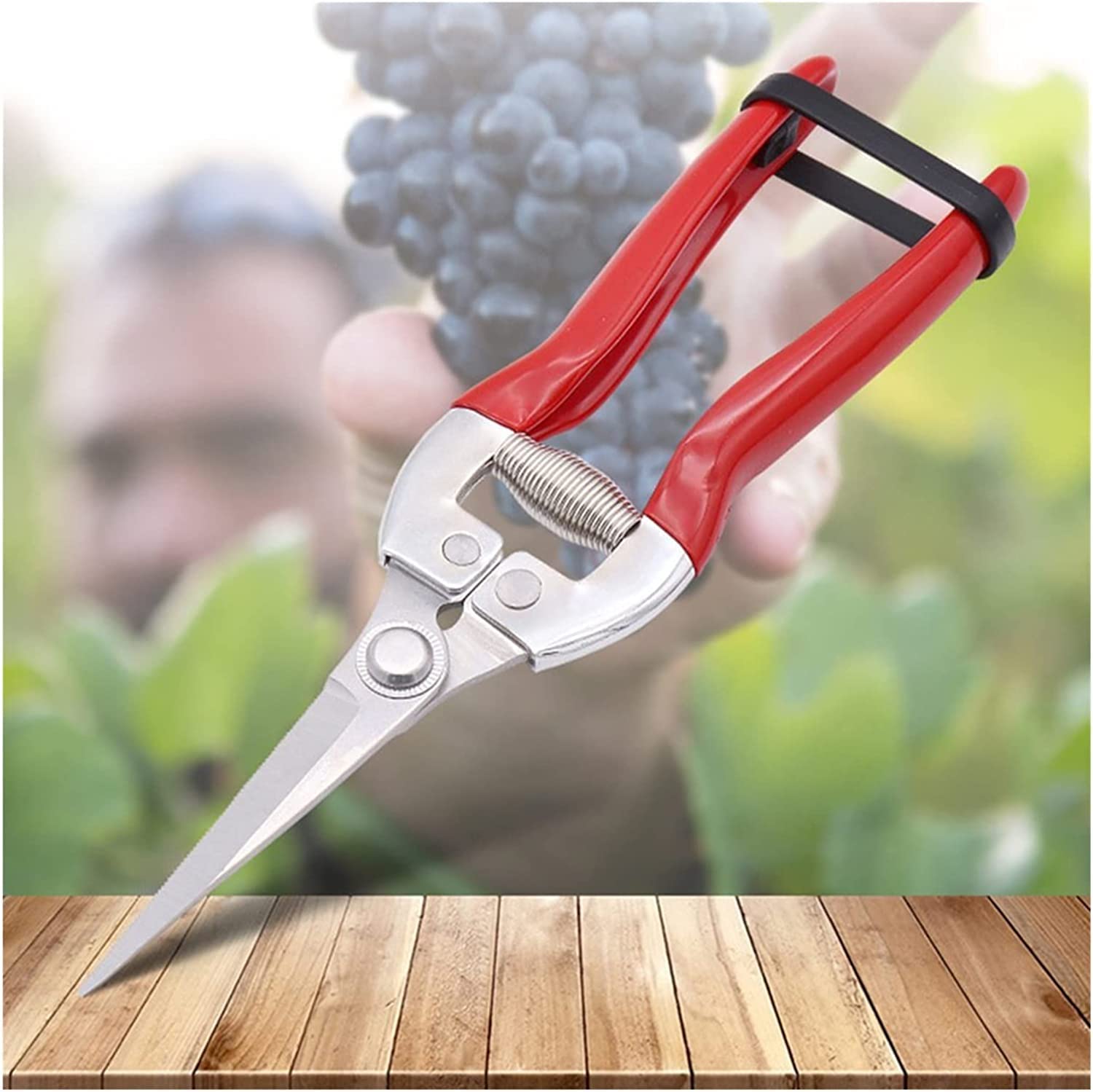 Cesoie da potatura, cesoie manuali, strumento di rifinitura Forbici in acciaio inossidabile Cesoie da potatura professionali affilate Bypass Cesoie per alberi Potatori manuali per giardino e versatili