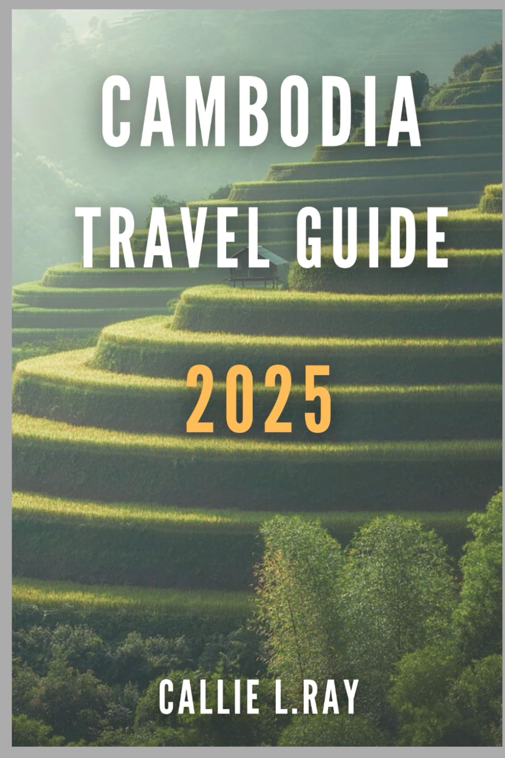 CAMBODIA TRAVEL GUIDE 2025: Unveiling the Treasures of the Kingdom of Wonder