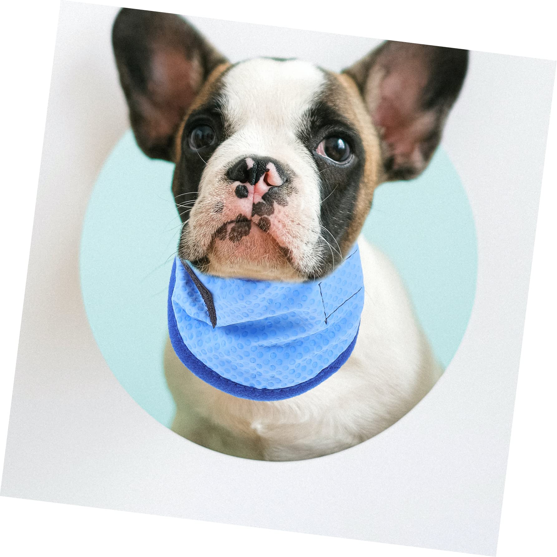 Mipcase 4stücke Pet Cooling Towel Für Hunde Atmungsaktiver Kühl-schal Für Sommeraktivitäten Leicht Und Tragbar Zur Temperaturregulierung Für Kleine Bis Mittelgroße Haustiere Mit