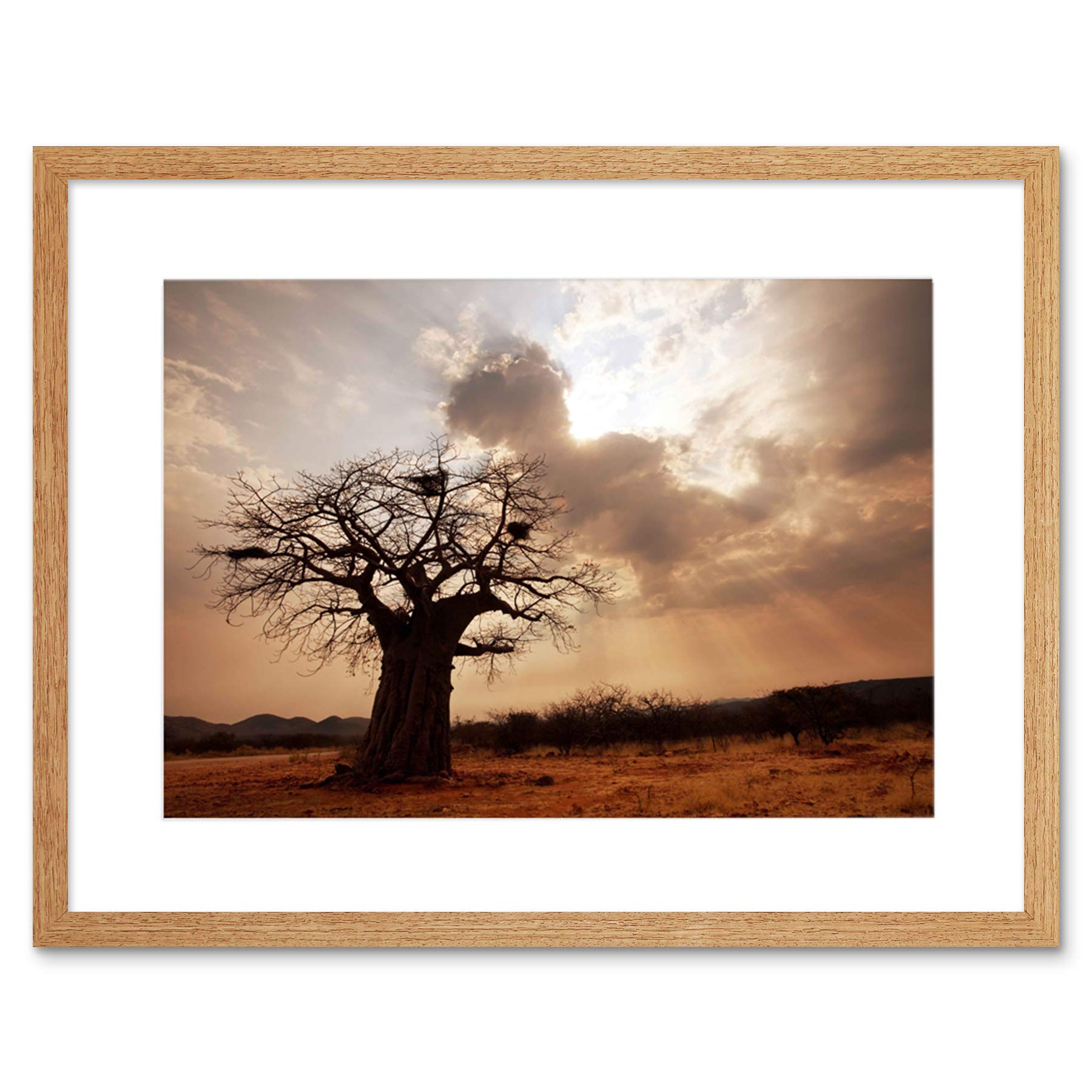 Wee Blue Coo Landscape Single Lone Baobab Tree Sunbeam Framed Wall Art Print