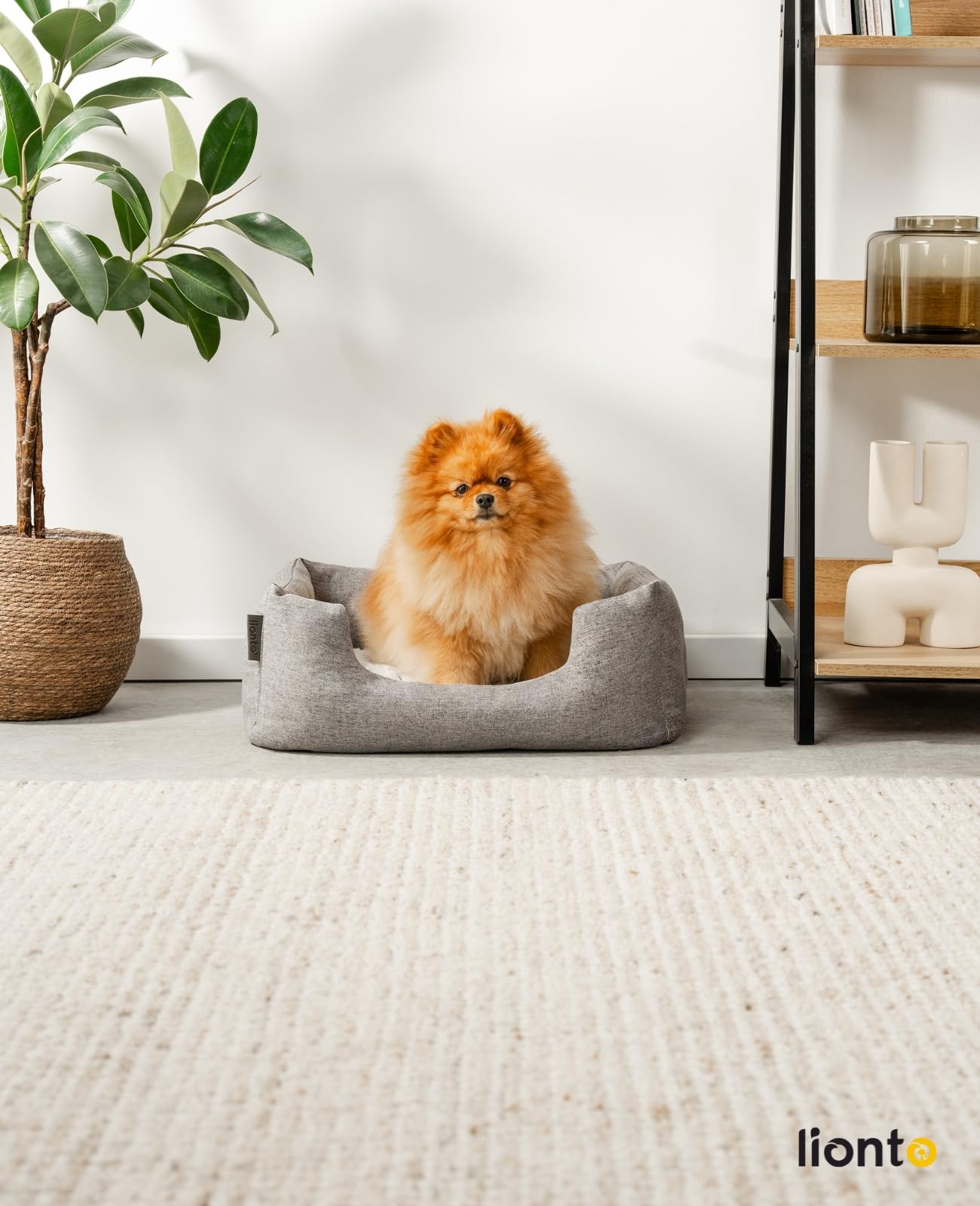 Cuccia Per Cani Lionto 2 In 1 Reversibile - Morbida E Confortevole Con Ingresso Facilitato, 60x50 Cm - Foto 10