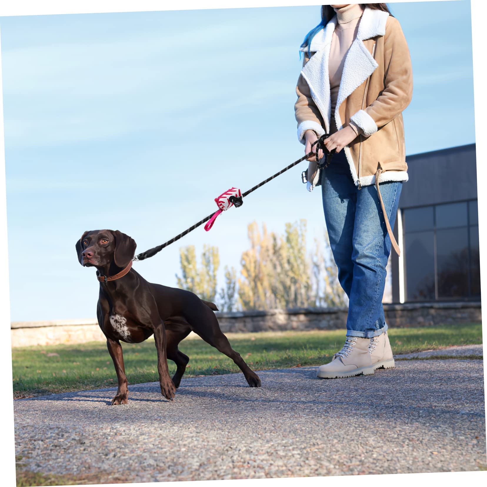 1 Satz Nylon-hundeleine Für Draußen Dicke Leine Mit Halter Für Hundekotbeutel Robust Für Kleine Und Mittelgroße Hunde