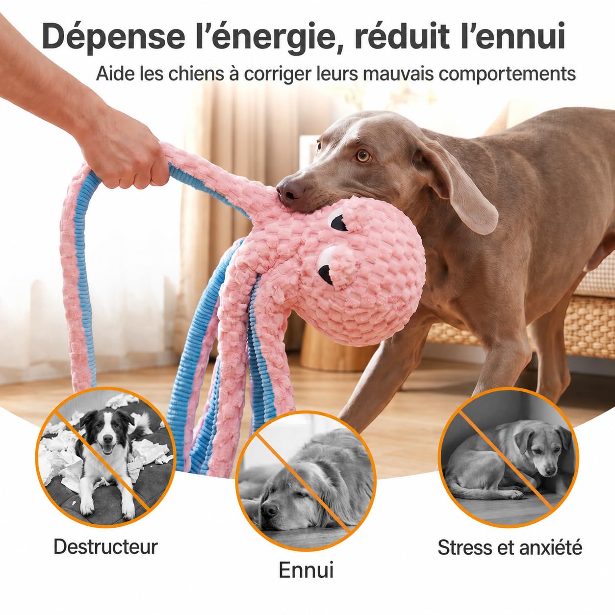 Potaroma Jouet Chien Pieuvre Peluche Couineur 100 cm, Jeu Interactif Chiot | Tentacules extra longues, velours doux, rembourrage coton épais, coutures renforcées, bon accessoire cadeau, toutes tailles.