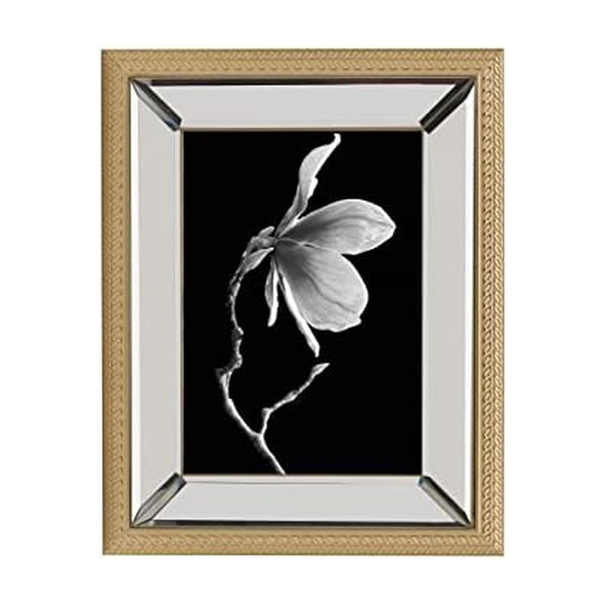 Cadre miroir corde dorée MIKASA cadre photo mural et à poser 13x18
