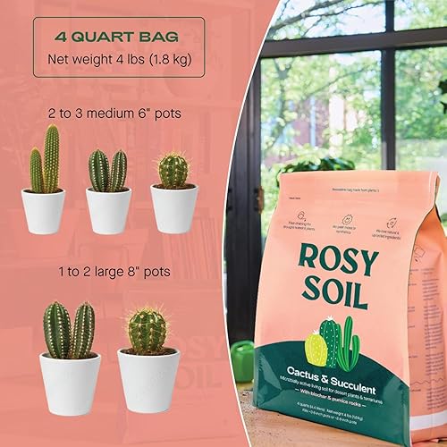 Miniatura 22 de Rosy Soil - Tierra para plantas de interior, mezcla orgánica enriquecida con biocarbón estimulante de raíces para plantas de follaje, flores, Planta