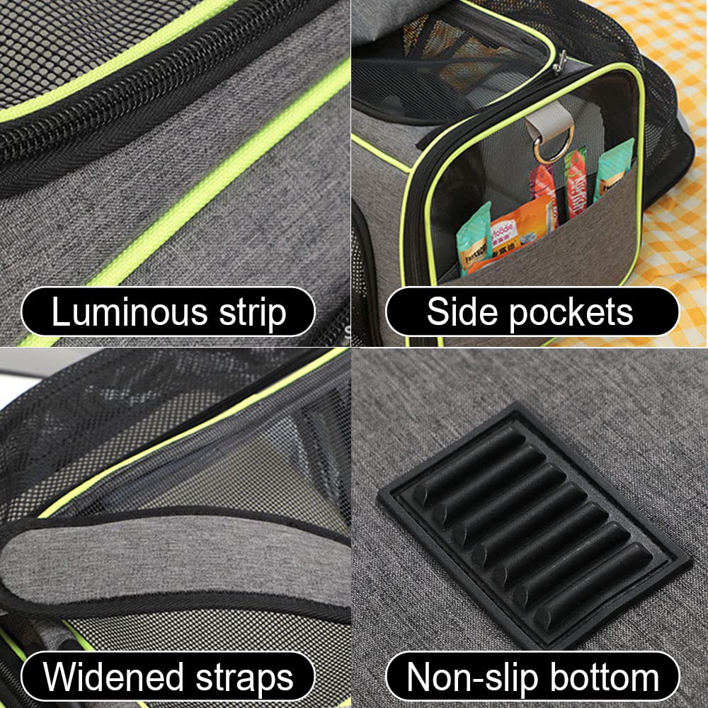 Transportbox Katze, Transporttasche Katze, kleine Hunde, Transportbox Hund, Katzentransportbox, katzentransportbox, Hundetransportbox im Auto oder in der Bahn Green