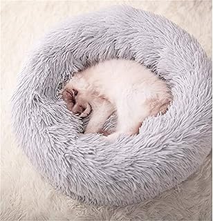 amazingly cat bed
