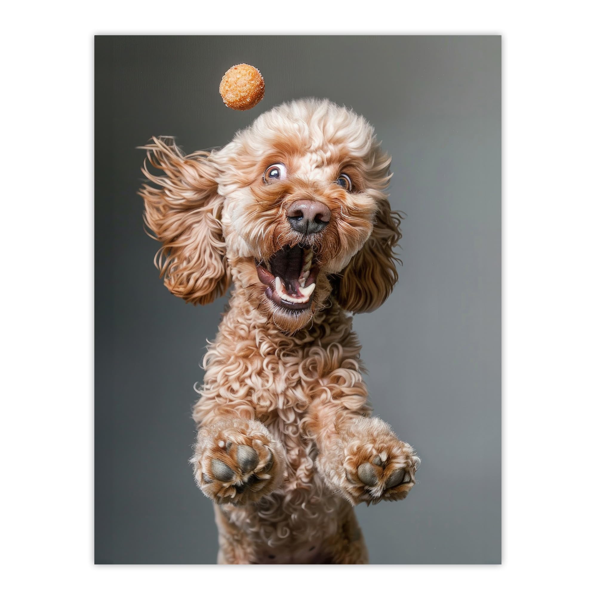 Artery8 Funny Cockapoo Dog Lover Treat Catch Photo For Living Room Extra Large XL Wall Art Poster Print