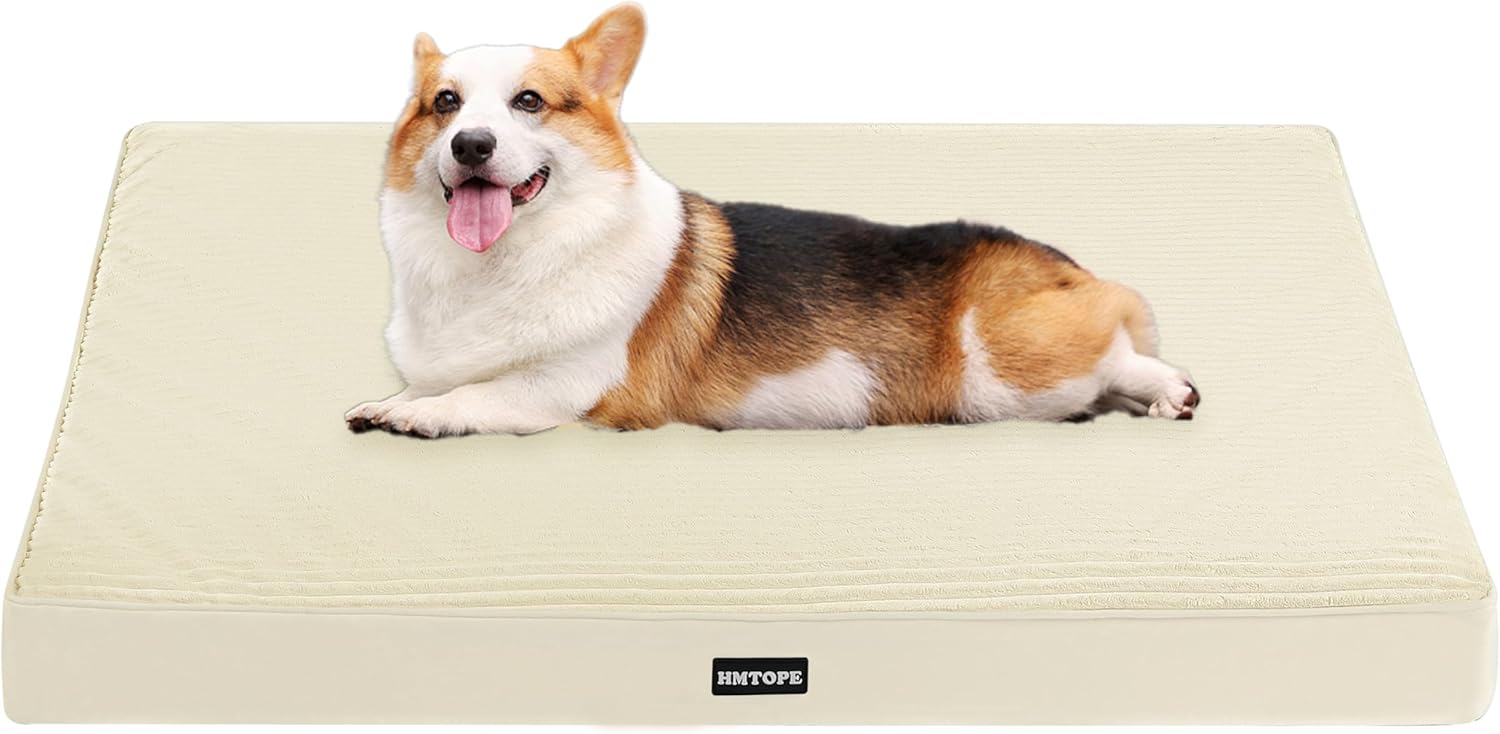 HMTOPE Orthopädisches Hundebett, 9 cm dickes Hundekissen für mittelgroße Hunde, abnehmbare und waschbare Hundematte, rutschfeste Unterseite, wasserdichtes Futter, 91 cm, Beige HMTOPE Orthopädisches Hundebett, 9 cm dickes Hundekissen für mittelgroße Hunde, abnehmbare und waschbare Hundematte, rutschfeste Unterseite, wasserdichtes Futter, 91 cm, Beige