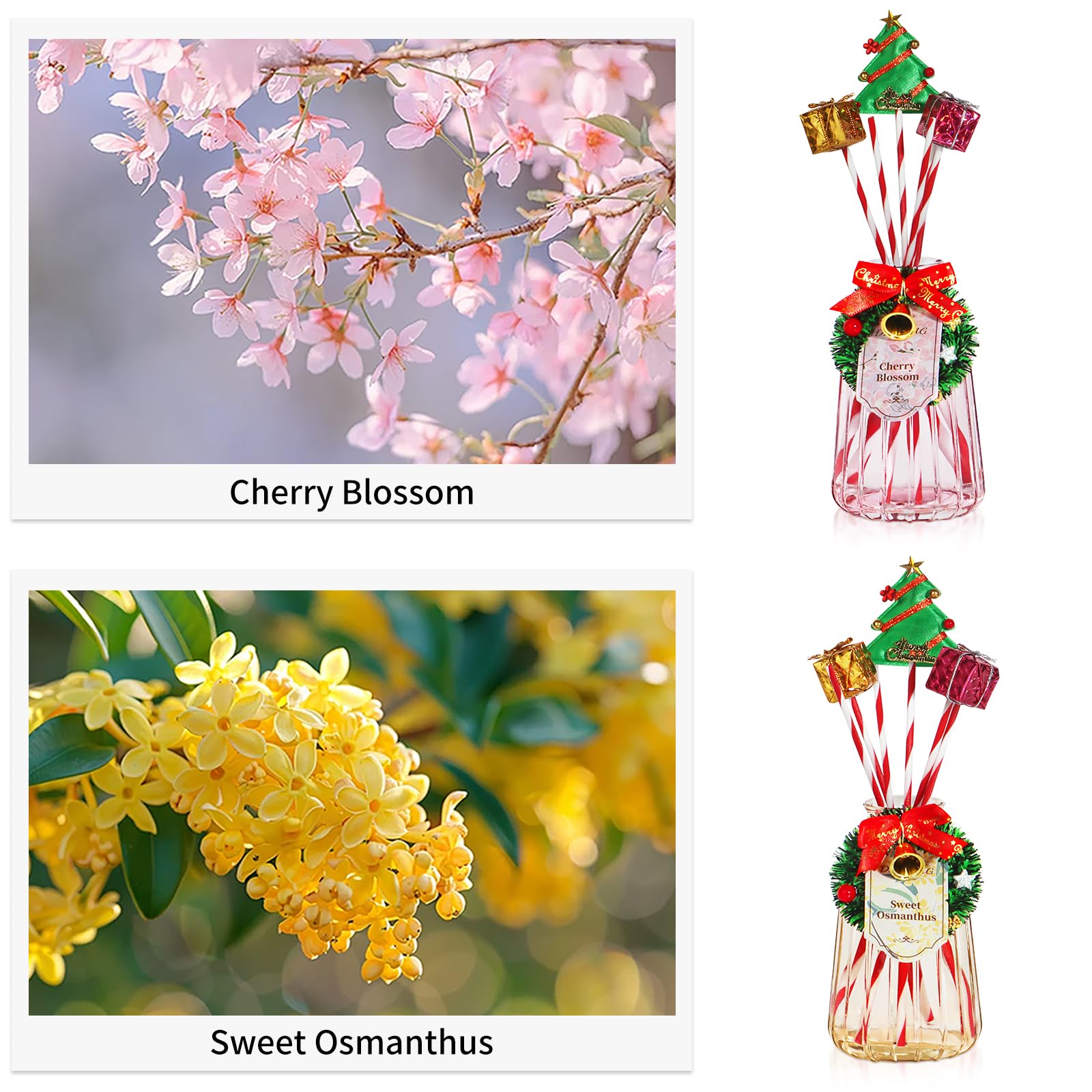 DIUFJAG 2 x 180 ml – Cherry Blossom/Osmanthus,Christmas Fioritura di Ciliegio Profumo per Ambienti con 12 Bastoncini,Natale Diffusore Profumo Ambiente per Bagno,Appartamento