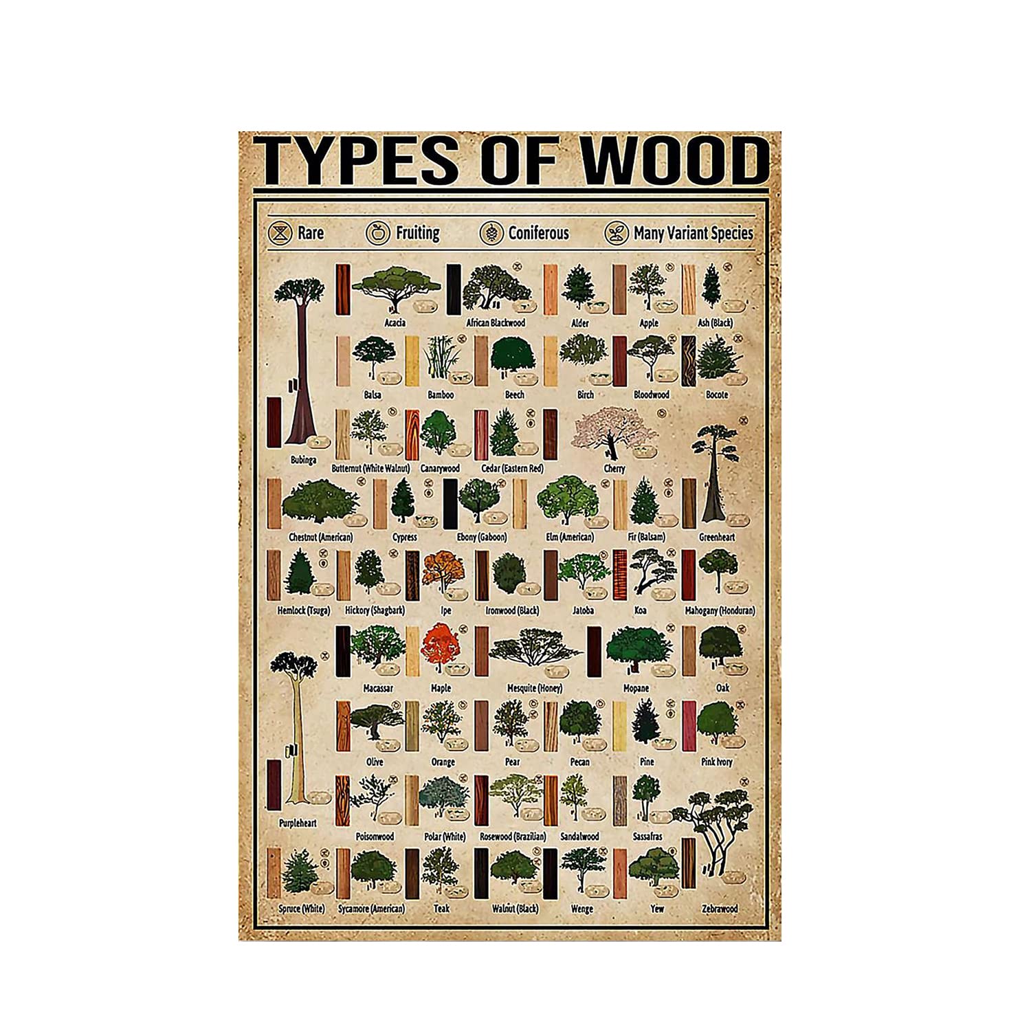 Retro Sign Types of Wood Woodworking Knowledge Gift for Carpenter Metal Tin Sign Wall Art Kitchen Poster Cafe Pub Plaque 12x8 Inch