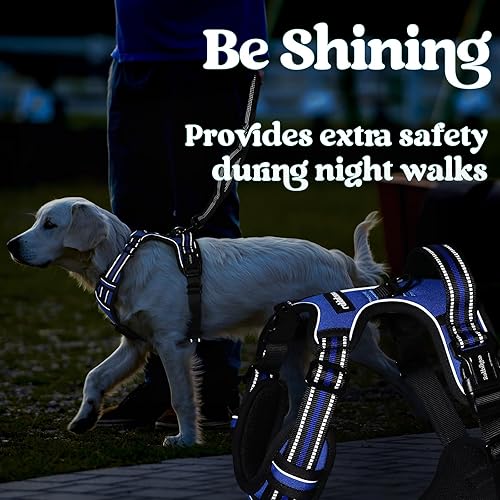 Miniatura 9 de rabbitgoo Arnés para perro de tamaño mediano, arnés sin tirones para mascotas con 3 hebillas, chaleco ajustable suave acolchado para perro con asa